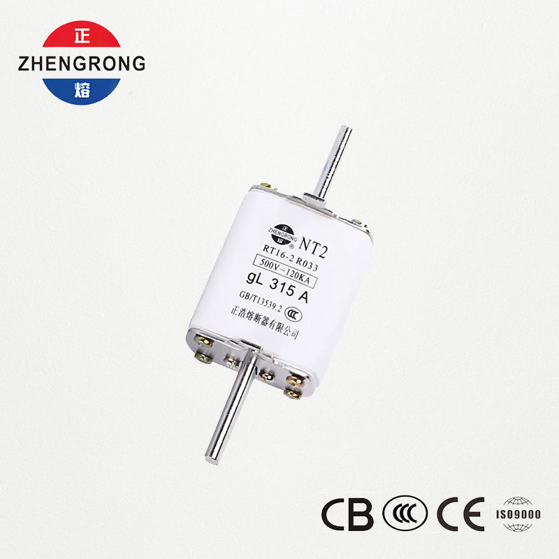 NT2 315A kaitsme link | RT16-2 500V gL keraamiline kaitse